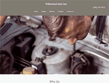 Tablet Screenshot of professionalautocare.biz